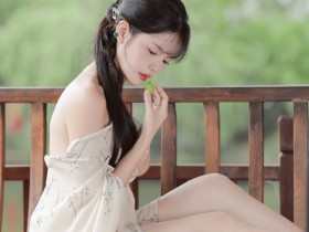 有美一人，清扬婉兮。 邂逅相遇，适我愿兮。