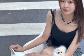 哈基米拯救世界